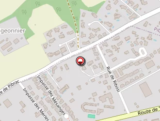 Carte de Mezzari Florence à Léguevin