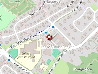 Carte de Lagache Jérôme à Balma