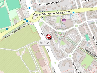 Carte de Boye Jean Jérôme à Balma