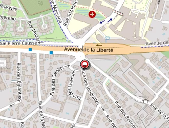 Carte de Magrez Ludovic à Montpellier