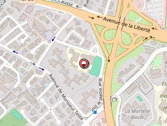 Carte de Naturalgreen à Montpellier