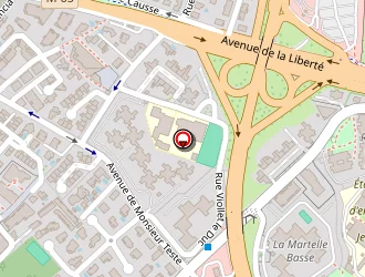 Carte de Fruitet Michel à Montpellier