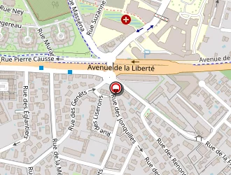 Carte de Bouet Michel à Montpellier