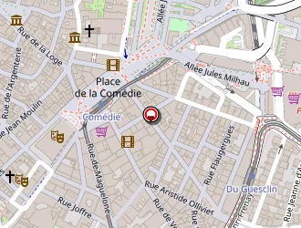 Carte de Léonard Coiffeur à Montpellier