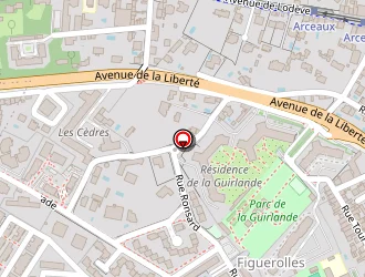 Carte de Agullo Lionel à Montpellier