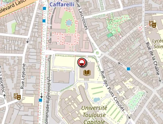 Carte de Mayzaud Gilles à Toulouse