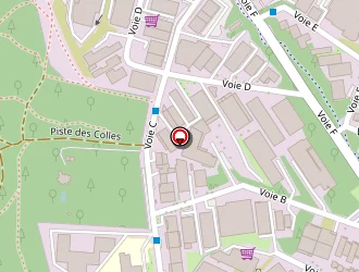 Carte de Cg2j à Mouans-sartoux