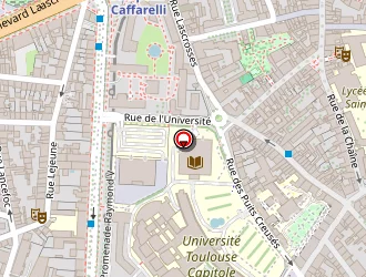 Carte de Mini Davide à Toulouse