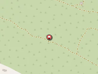 Carte de Boada Maria à Pélissanne