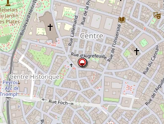 Carte de Cartes-en-main à Montpellier