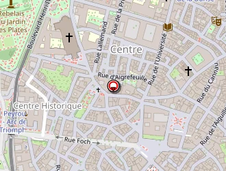 Carte de Affaire D'or à Montpellier