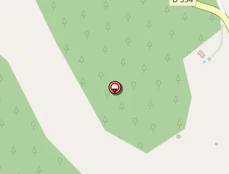 Carte de Peterson Michiel à Varages