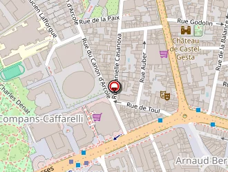 Carte de Zinzin à Toulouse