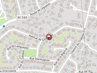 Carte de Ruzafa Francis à Pibrac