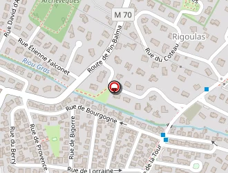 Carte de Dtm (diagnostics Tournier Marc) à Balma