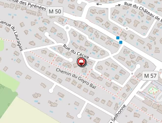 Carte de Belot Steve à Mons