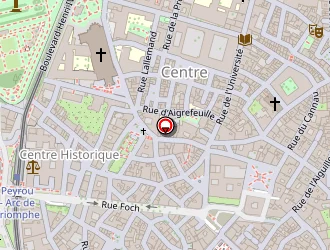 Carte de Art'maniac à Montpellier