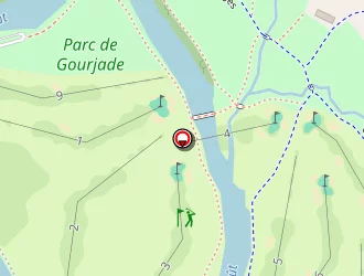 Carte de Moiseau Alain à Castres