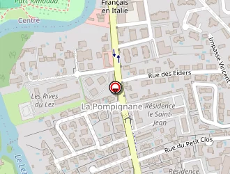 Carte de Ivanovic Dejan à Montpellier