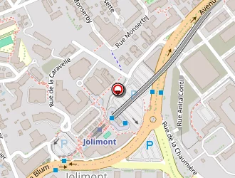 Carte de Arbo-diagnostic à Toulouse