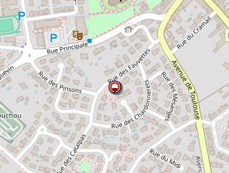 Carte de Marrodal Yves à Pibrac