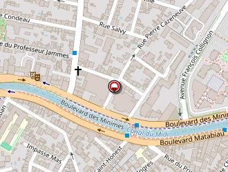 Carte de Institut Rousseau à Toulouse