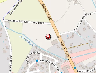 Carte de Lamaud Michel à Castres