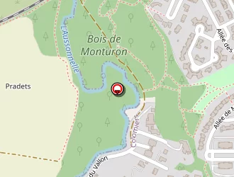 Carte de Flg à Colomiers