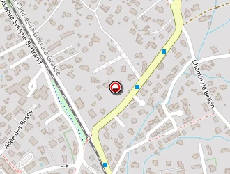 Carte de Spillmann Patrick à Mouans-sartoux