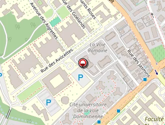 Carte de Desoli Michaël à Montpellier