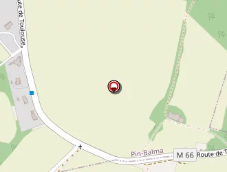 Carte de Cat & Co Service à Pin-balma