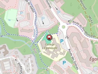 Carte de Dorian Desvaux à Valbonne