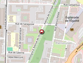 Carte de Boukhroufa Nabila à Montpellier