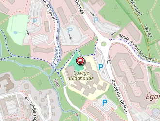 Carte de Corps Franc Miniatures à Valbonne