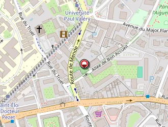 Carte de Lesnik Alexandre à Montpellier