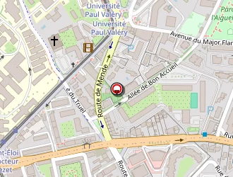 Carte de Zazou à Montpellier