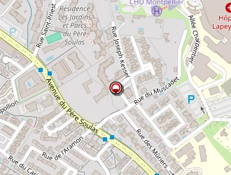 Carte de Serban Florentin Nicusor à Montpellier