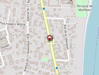 Carte de Station Esso Express à Blagnac