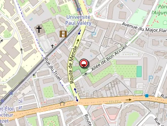 Carte de Guerreau Loïc à Montpellier