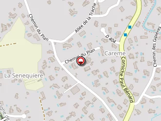 Carte de Plancque Patrick à Mouans-sartoux