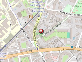 Carte de Naggara Max à Montpellier