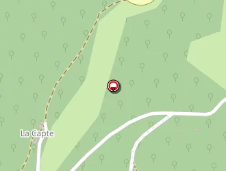 Carte de Senaux Roger à Nages