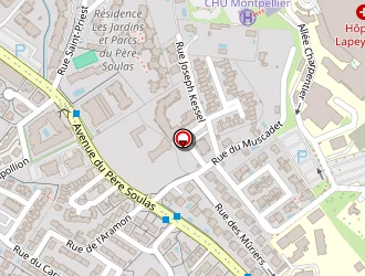 Carte de Scala Hervé à Montpellier