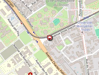 Carte de Mariko Lassana à Montpellier