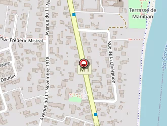 Carte de Larrouy Et Sicre à Blagnac