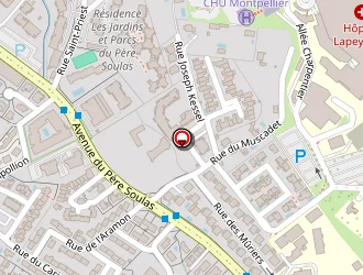 Carte de Rebaa Samy à Montpellier