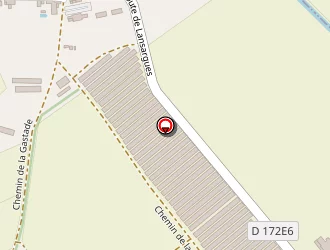 Carte de Guiraudou Elyane à Candillargues