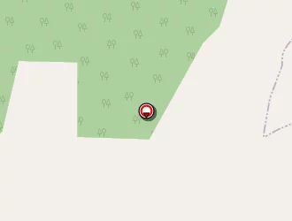 Carte de Cazzaro Nicolas à Vielmur-sur-agout