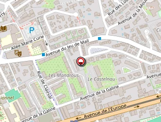 Carte de Brahim Bouzid à Castelnau-le-lez