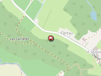 Carte de De Sousa Michèle à Saint-mont